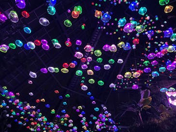 大阪府立花の文化園に投稿された画像（2022/12/11）