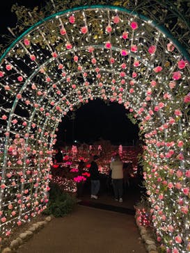 大阪府立花の文化園に投稿された画像（2022/12/11）