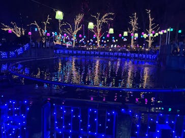 大阪府立花の文化園に投稿された画像（2022/12/11）