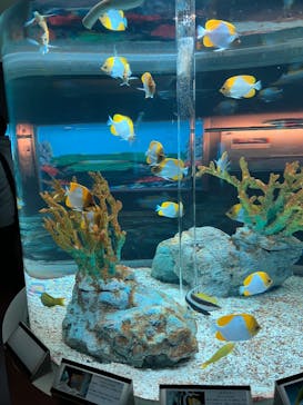 登別マリンパークニクスに投稿された画像（2022/12/11）