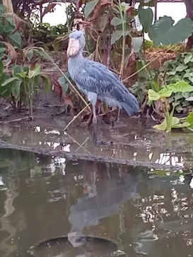 神戸どうぶつ王国に投稿された画像（2022/12/11）