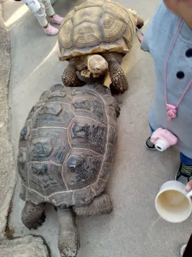 神戸どうぶつ王国に投稿された画像（2022/12/11）