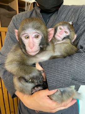 おさるの湯もみ処　おさ湯に投稿された画像（2022/12/11）