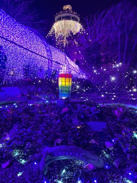 江の島シーキャンドルに投稿された画像（2022/12/11）