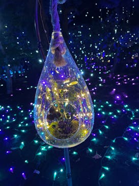 江の島シーキャンドルに投稿された画像（2022/12/11）