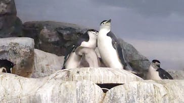 名古屋港水族館に投稿された画像（2022/12/11）