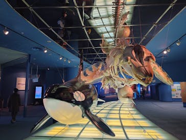 名古屋港水族館に投稿された画像（2022/12/11）