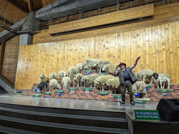 マザー牧場に投稿された画像（2022/12/11）