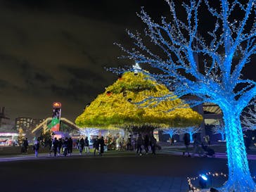 東京メガイルミに投稿された画像（2022/12/11）