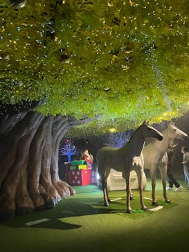 東京メガイルミに投稿された画像（2022/12/11）