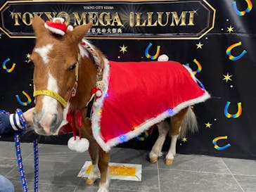 東京メガイルミに投稿された画像（2022/12/11）