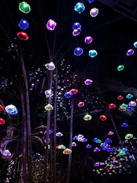 大阪府立花の文化園に投稿された画像（2022/12/11）