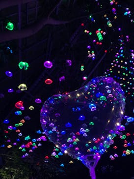 大阪府立花の文化園に投稿された画像（2022/12/11）