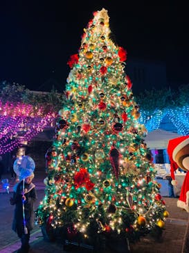 大阪府立花の文化園に投稿された画像（2022/12/11）