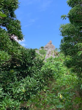 アスムイハイクスに投稿された画像（2022/12/11）