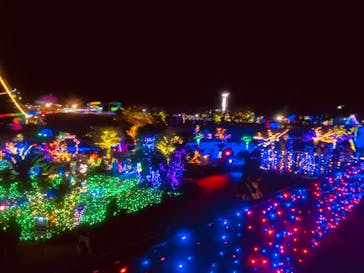 伊豆ぐらんぱる公園に投稿された画像（2022/12/11）