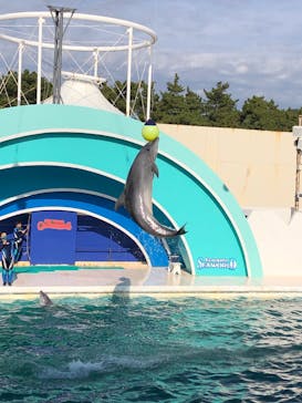 鴨川シーワールドに投稿された画像（2022/12/11）