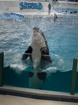 鴨川シーワールドに投稿された画像（2022/12/11）