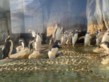 仙台うみの杜水族館に投稿された画像（2022/12/11）