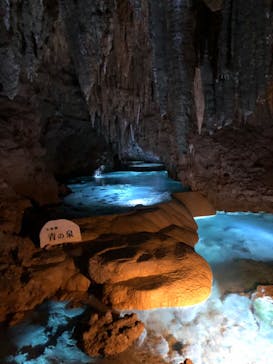 おきなわワールドに投稿された画像（2022/12/11）