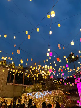 ひらかたパークに投稿された画像（2022/12/11）