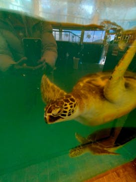 越前松島水族館に投稿された画像（2022/12/11）