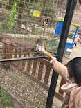 しろとり動物園に投稿された画像（2022/12/11）
