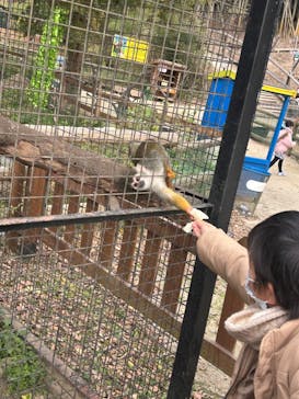 しろとり動物園に投稿された画像（2022/12/11）