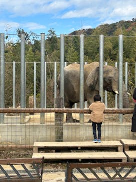 しろとり動物園に投稿された画像（2022/12/11）