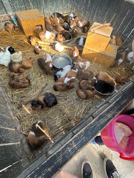 しろとり動物園に投稿された画像（2022/12/11）