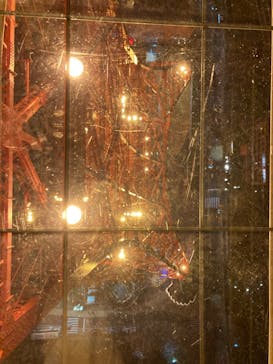 東京タワーに投稿された画像（2022/12/11）