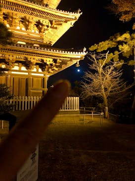 三溪園に投稿された画像（2022/12/11）