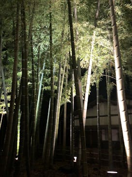 三溪園に投稿された画像（2022/12/11）