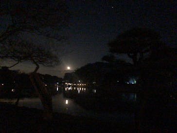 三溪園に投稿された画像（2022/12/11）