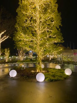 いばらきフラワーパークに投稿された画像（2022/12/11）