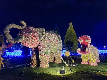 東武動物公園に投稿された画像（2022/12/11）