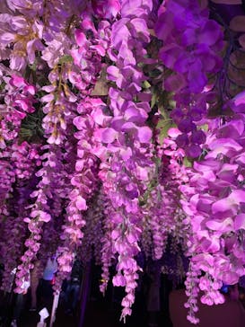 東京メガイルミに投稿された画像（2022/12/11）