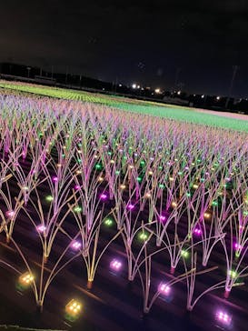 東京メガイルミに投稿された画像（2022/12/11）