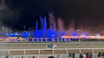 東京メガイルミに投稿された画像（2022/12/11）