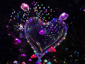 大阪府立花の文化園に投稿された画像（2022/12/11）