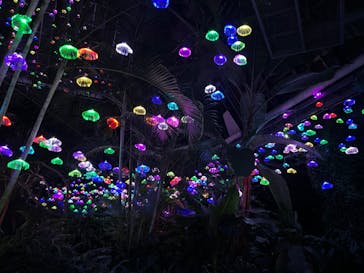 大阪府立花の文化園に投稿された画像（2022/12/11）