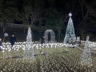 大阪府立花の文化園に投稿された画像（2022/12/11）