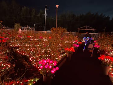 大阪府立花の文化園に投稿された画像（2022/12/11）