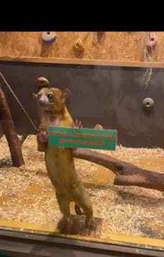 伊豆ぐらんぱる公園に投稿された画像（2022/12/11）