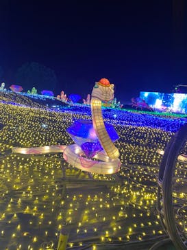 伊豆ぐらんぱる公園に投稿された画像（2022/12/11）