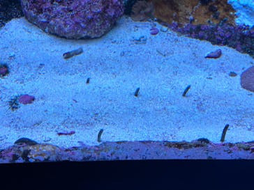 サンシャイン水族館に投稿された画像（2022/12/11）