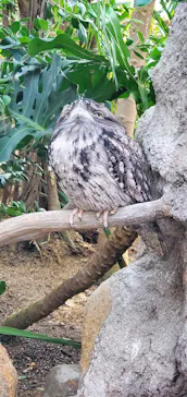 神戸どうぶつ王国に投稿された画像（2022/12/11）