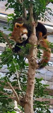 神戸どうぶつ王国に投稿された画像（2022/12/11）