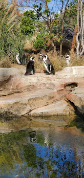 神戸どうぶつ王国に投稿された画像（2022/12/11）