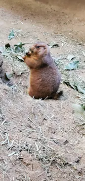 神戸どうぶつ王国に投稿された画像（2022/12/11）